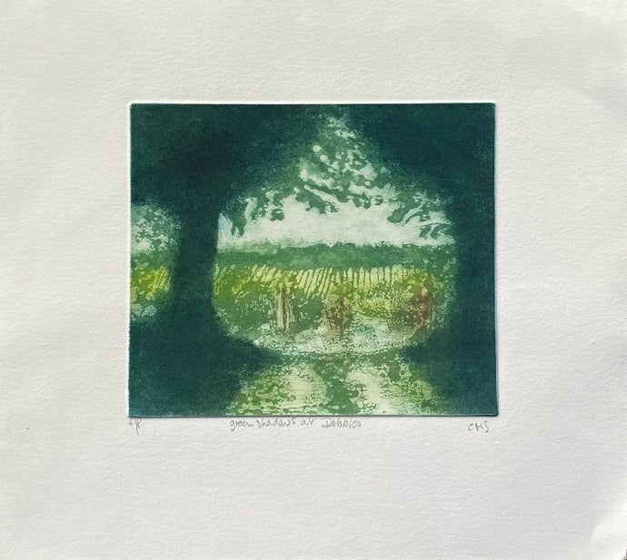 Contemporary aquatint etching of  trees looking into a vineyard in printed in greens with ochres on a creamy white