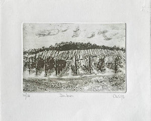 Aquatint Etching  of  Denbies vineyard in sage green on a creamy white background