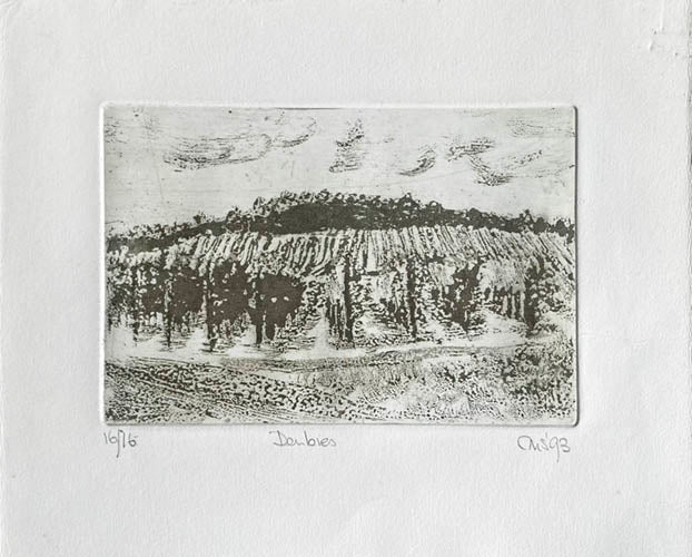 Aquatint Etching  of  Denbies vineyard in sage green on a creamy white background