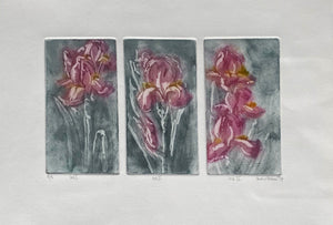Three panels of pink flowers with gray backgrounds