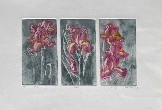 Three panels of pink flowers with gray backgrounds