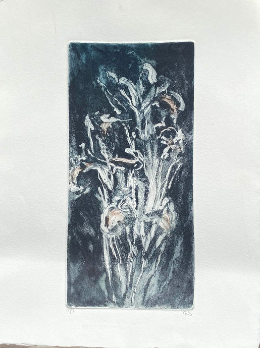 Aquatint Etching by Caroline Salmon - Superior Specimens - Iris in black - colour proof