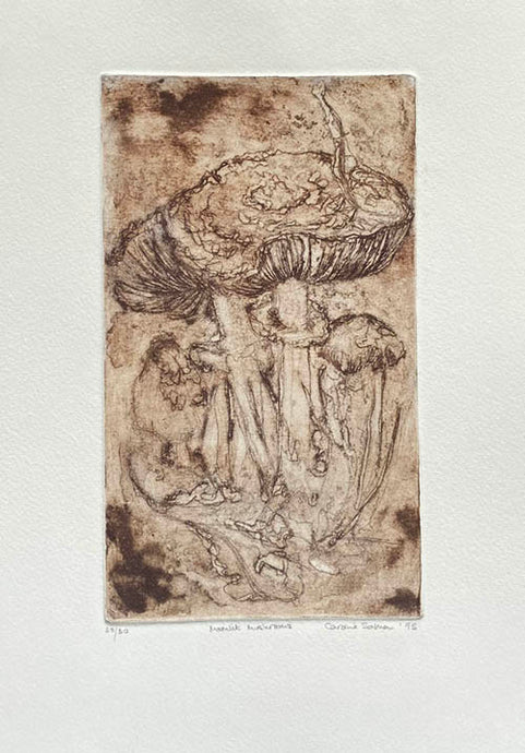 Aquatint Etching of parasol mushrooms in brown on creamy white paper