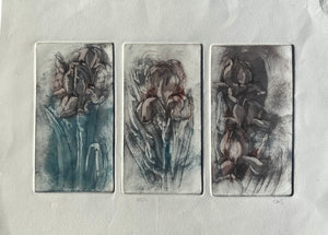 Aquatint Etching by Caroline Salmon I- 3 Plate It is I,II,& III Brown and Blue/Green
