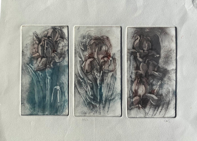 Aquatint Etching by Caroline Salmon I- 3 Plate It is I,II,& III Brown and Blue/Green