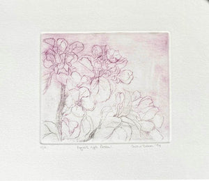 Etching pf Artistic depiction of apple blossom on creamy white paper