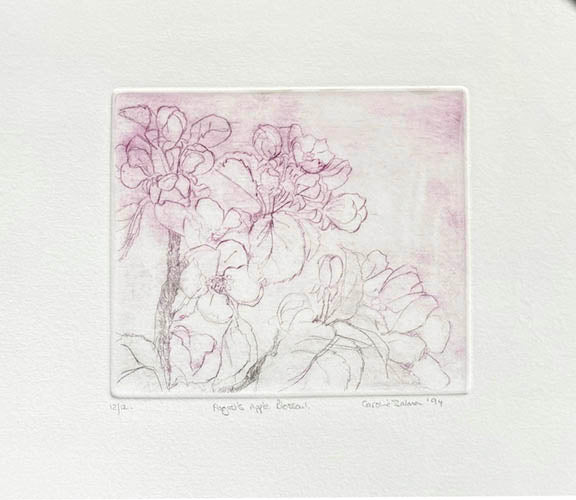 Etching pf Artistic depiction of apple blossom on creamy white paper