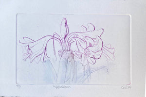 Etching  Line drawing of a plant on a white background