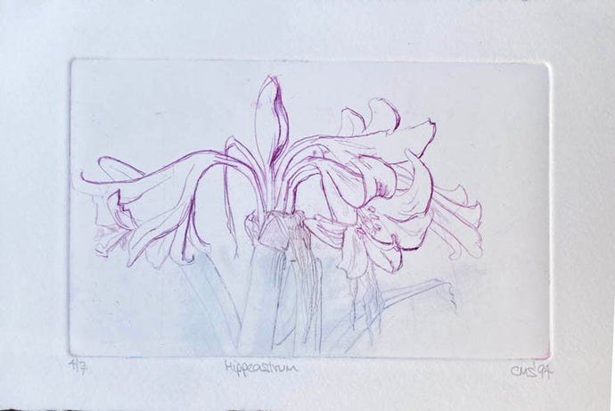 Etching  Line drawing of a plant on a white background