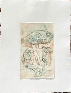Etching of large Mushrooms with an oak leaf on creamy white paper