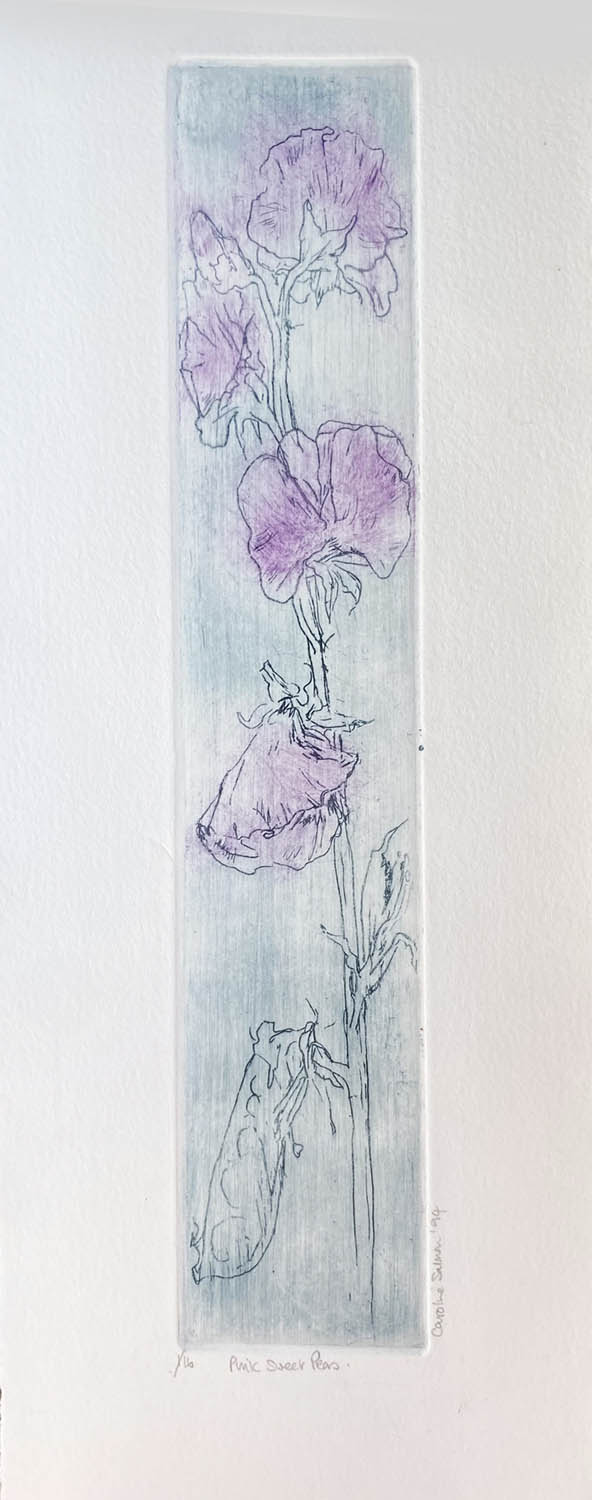 Tall thin etching  of an artistic impression of  Pink and Purple Sweet Peas, on cream paper, with a dragged grey ink background. The etching has the usual indent of the plate on the paper, made as it ran though the press