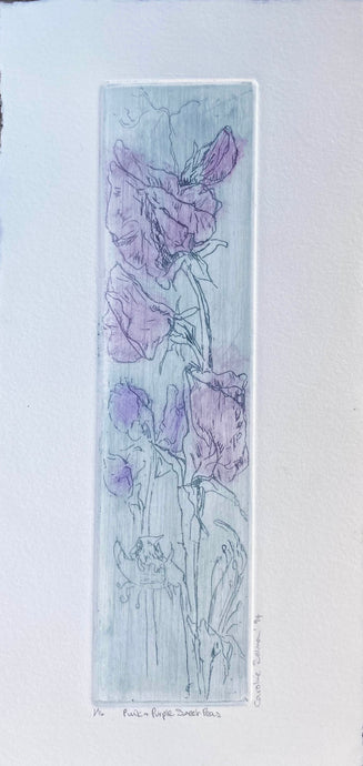 Tall thin etching  an artistic impression of  Pink and Purple Sweet Peas, with a dragged dry background on cream paper.