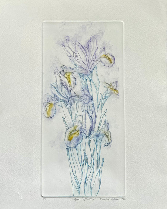 Artistic depiction of iris flowers on a textured creamy white  background