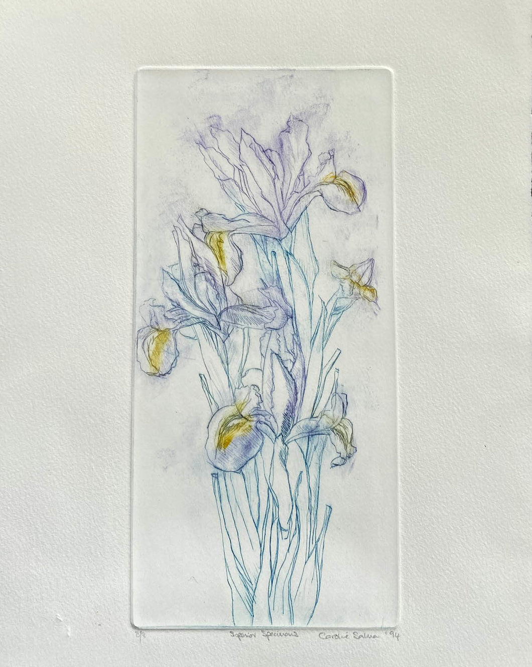 Artistic depiction of iris flowers on a textured creamy white  background