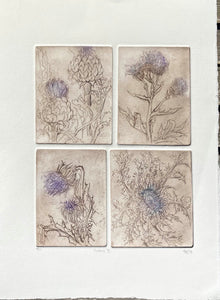 Etching using 4 plates of different images of thistles Printed in brown with mauve highlights