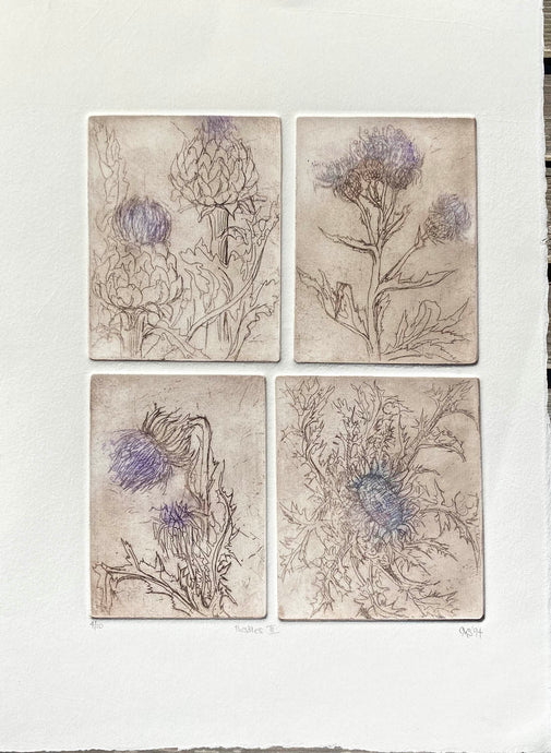 Etching using 4 plates of different images of thistles Printed in brown with mauve highlights