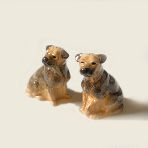 Border Terrier Dog salt and Pepper front  by Quail