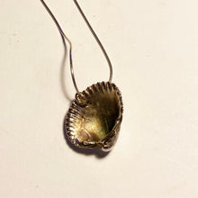 Silvered Electro-plated Cockle Shell  Pendant on Chain, West Wittering