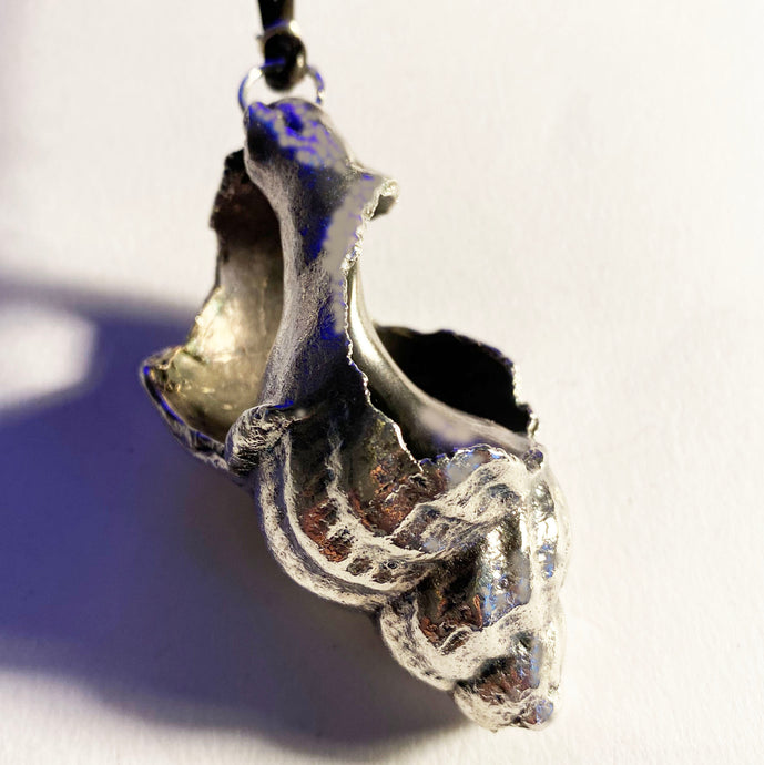 Silvered Electro-plated Large Worn Welk Pendant on a thong, Bracklesham Bay