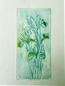 Etching by Caroline Salmon - Superior Specimens printed in green and yellow