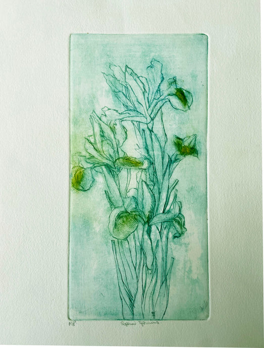 Etching by Caroline Salmon - Superior Specimens printed in green and yellow