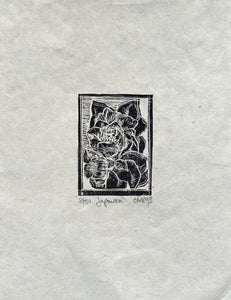 Black and white wood engraving print of Japonica on Japanese handmade cream paper