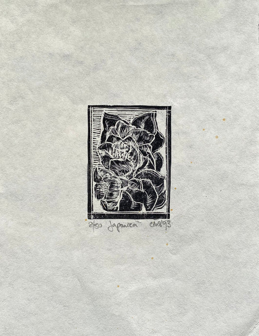 Black and white wood engraving print of Japonica on Japanese handmade cream paper
