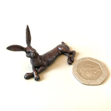 Bonsia Bronze Hares
