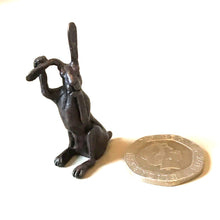 Bonsia Bronze Hares