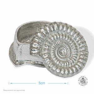 Pewter Ammonite Box