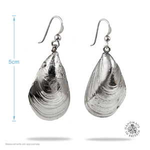 Silvered Watergate Bay Mussel Earrings Medium