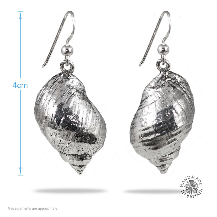 Silvered Watergate Bay Winkle Earrings